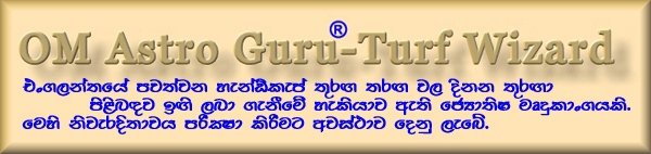 OM Astro Guru-Turf Wizard